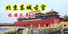 白洁20p中国北京-东城古宫旅游风景区